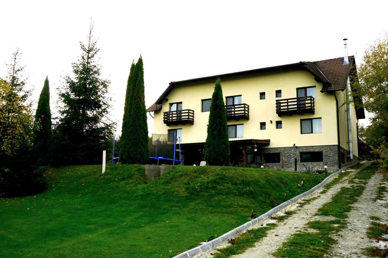 Vila Sohodol Travel Bran (Brasov) Exterior foto