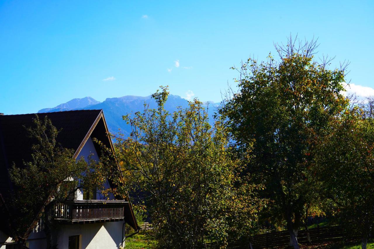 Vila Sohodol Travel Bran (Brasov) Exterior foto