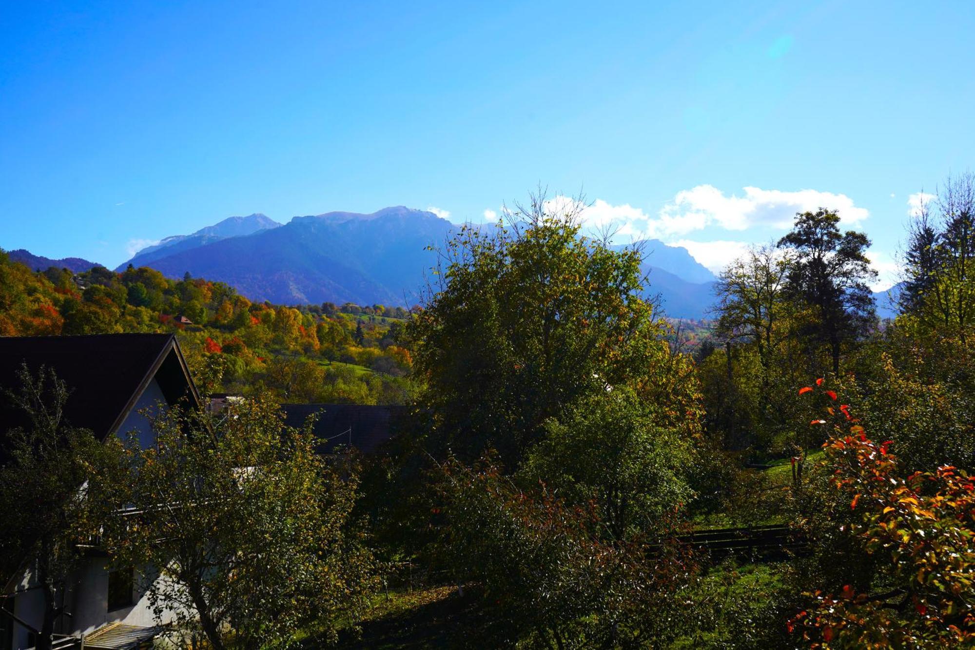 Vila Sohodol Travel Bran (Brasov) Exterior foto
